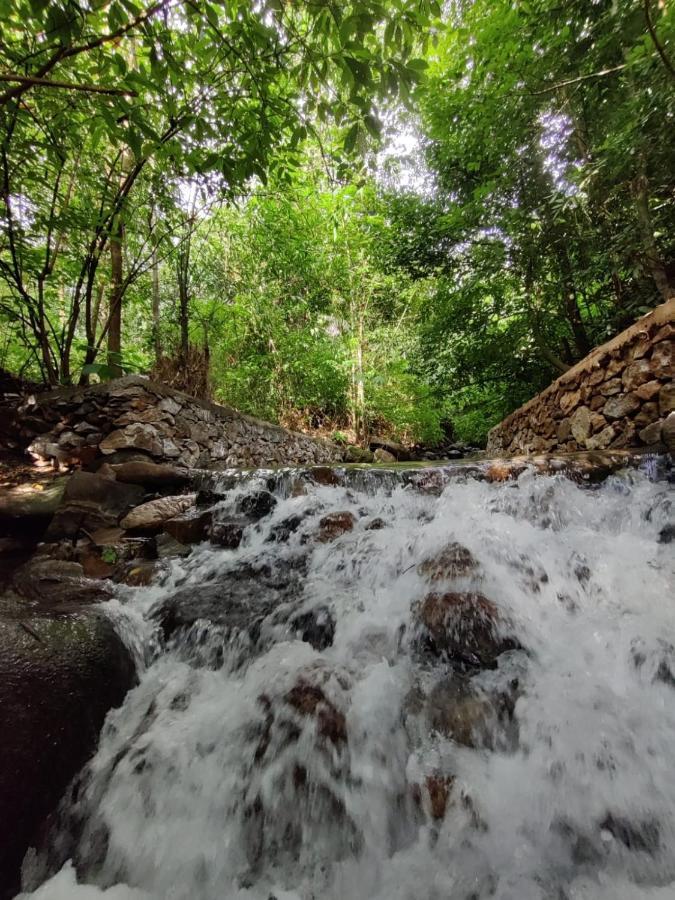 Forest And River Edge Resort Kannur Exterior foto