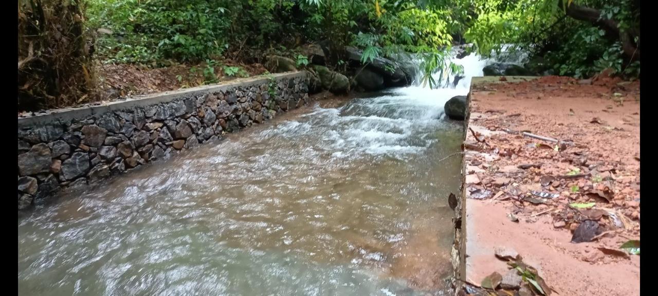 Forest And River Edge Resort Kannur Exterior foto